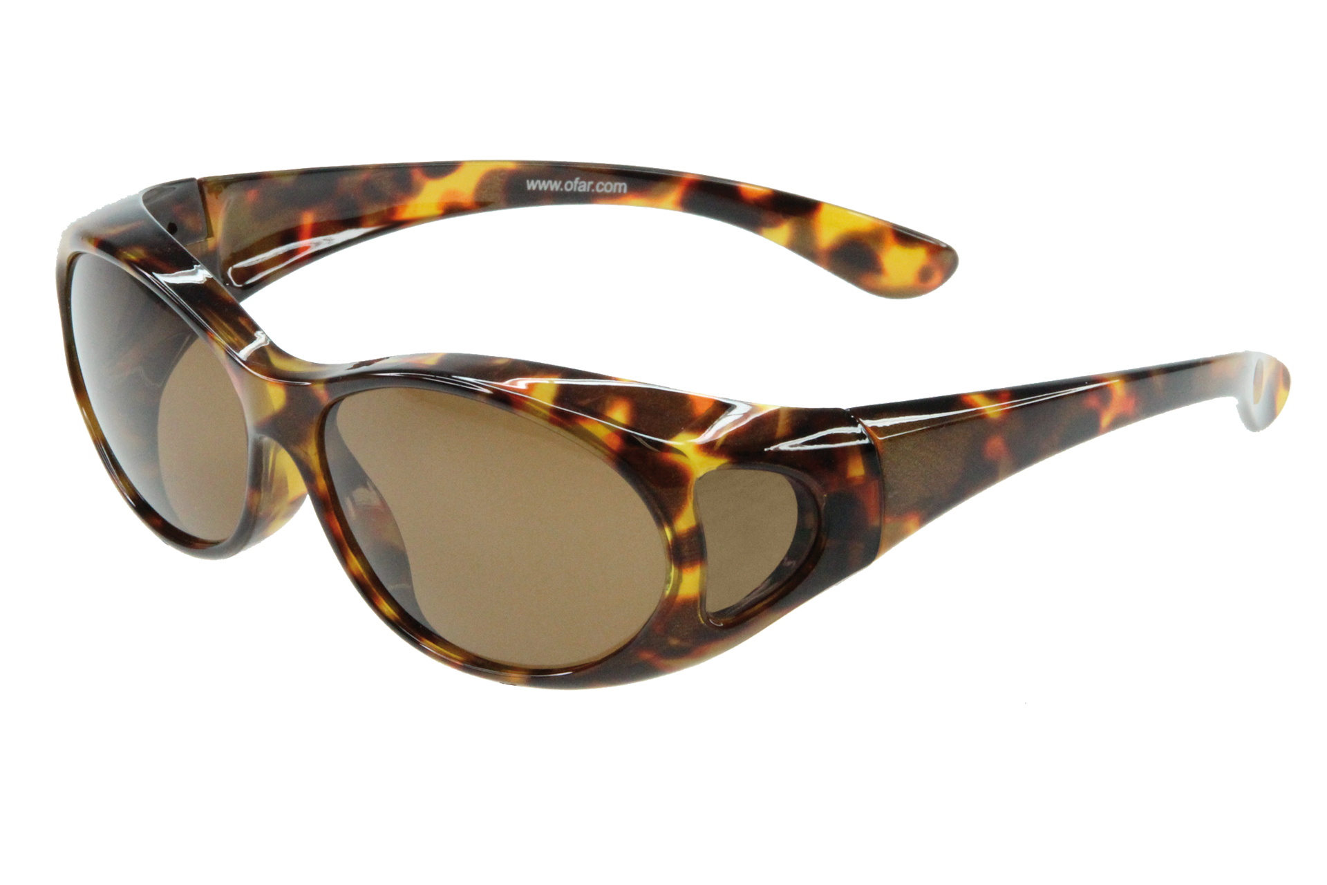 VZ-0002F havana glossy