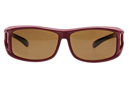 Overzetzonnebrillen - VZ-0001WL