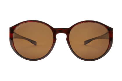 Overzetzonnebrillen - VZ-0039F2-N